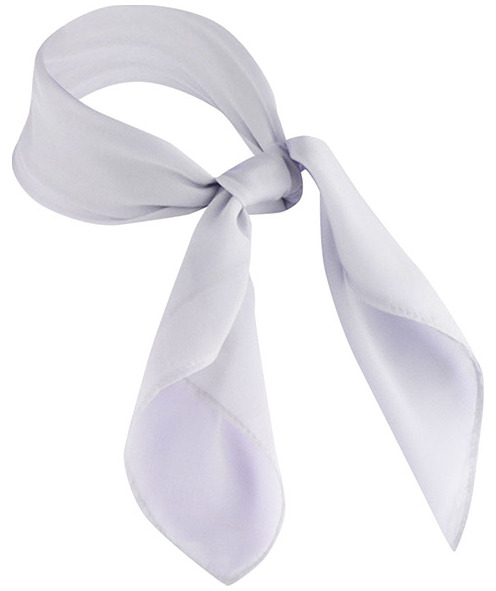 Karlowsky classic chiffon scarf, Light Grey, Light Grey, large image number 2