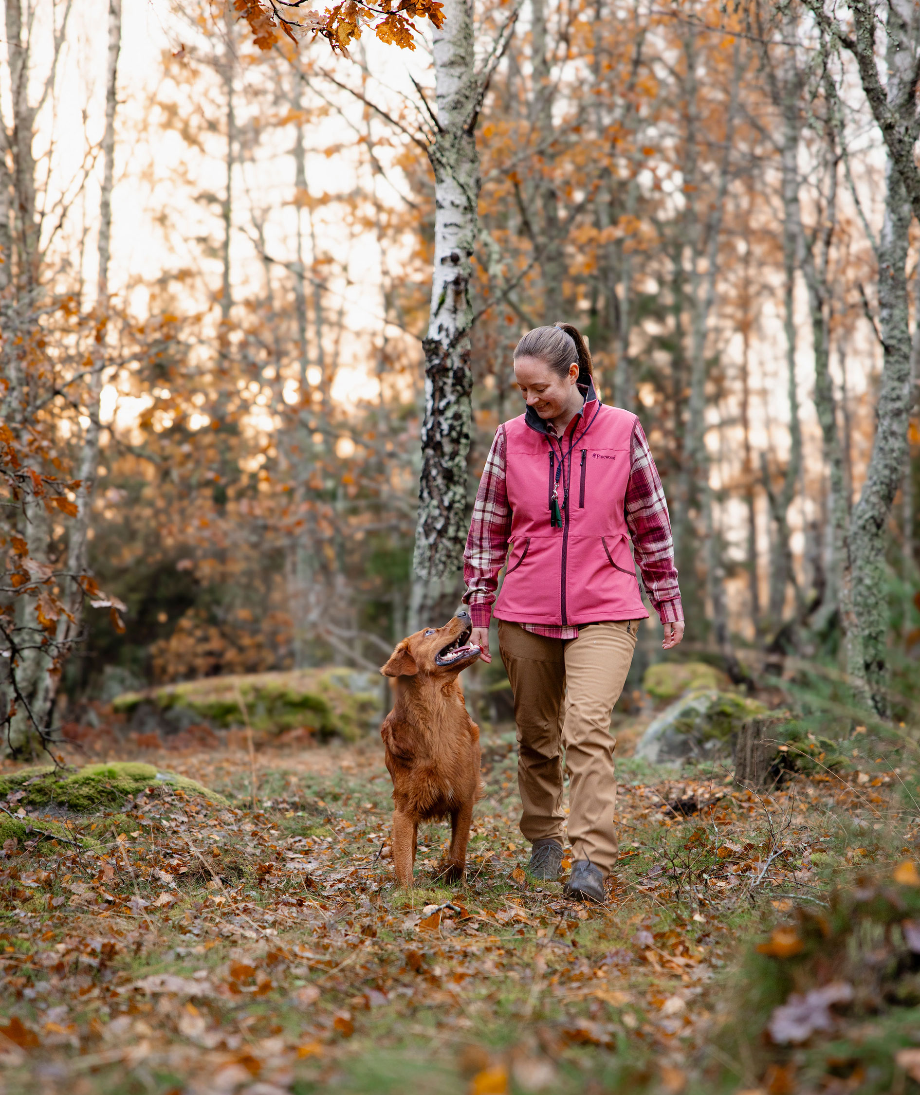 Pinewood Dog Sports Stretch dame softshellvest