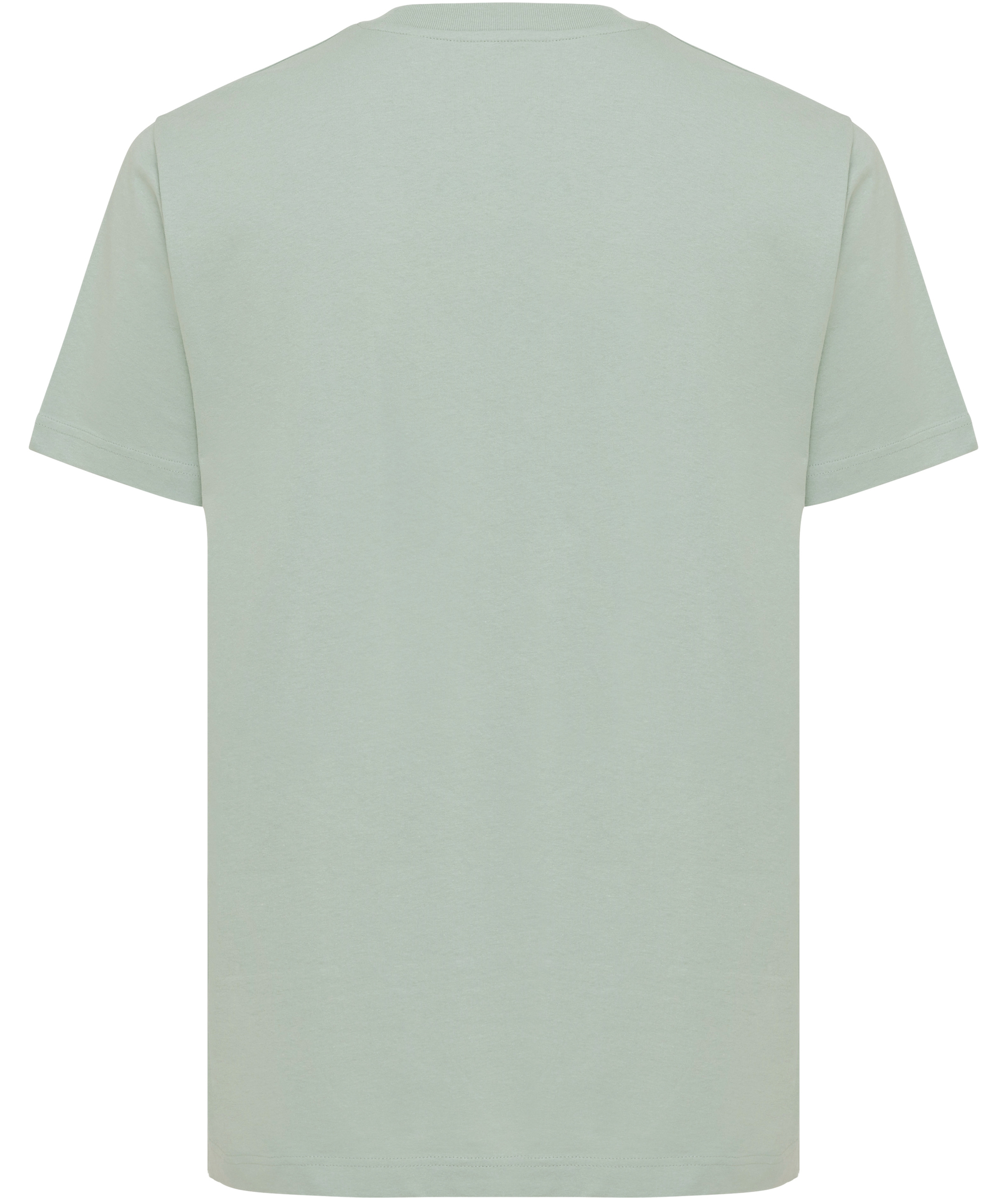 Iqoniq Kakadu T-shirt, Iceberg Green, large image number 2