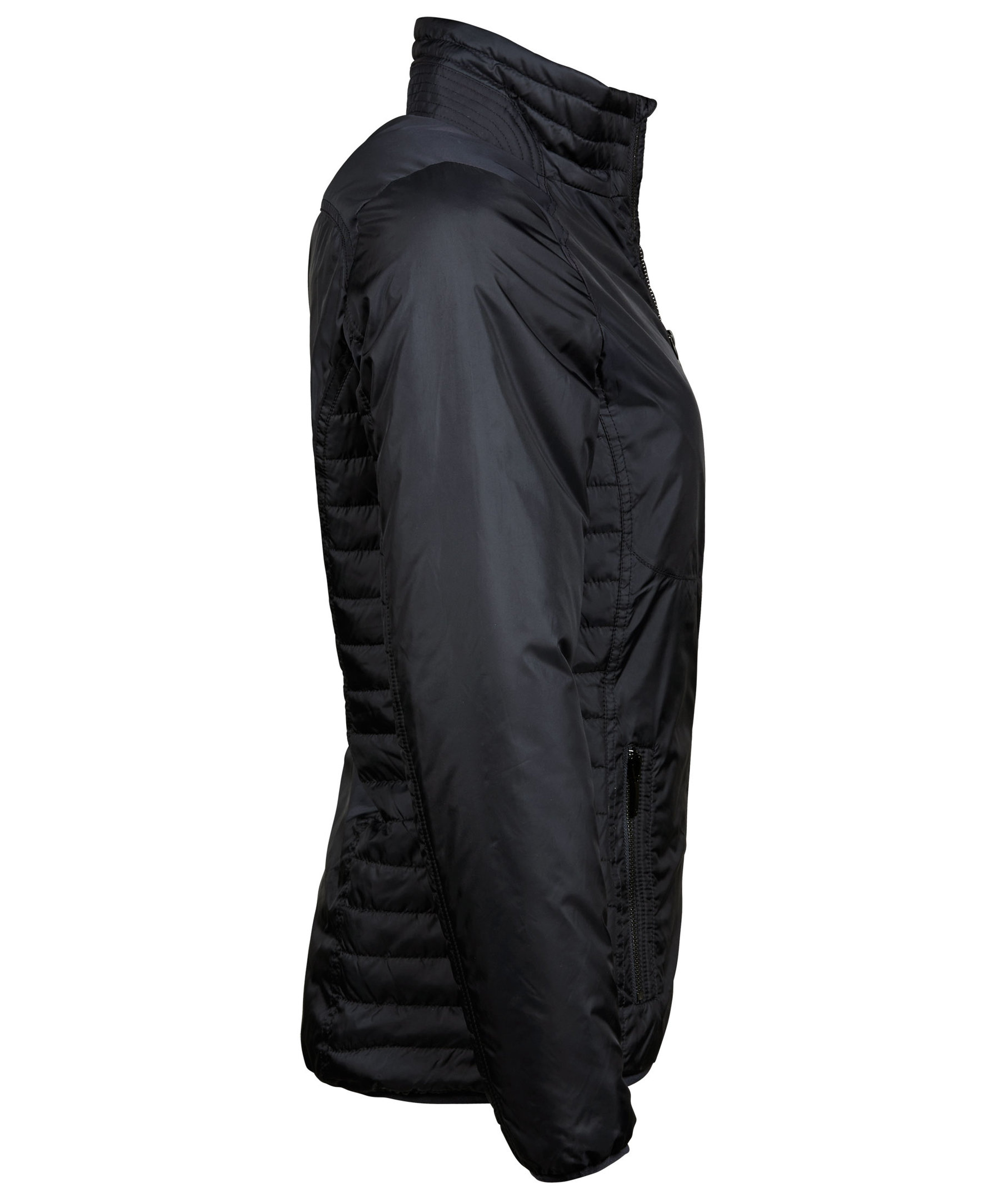 Tee Jays Newport women's jacket, Black, large image number 5