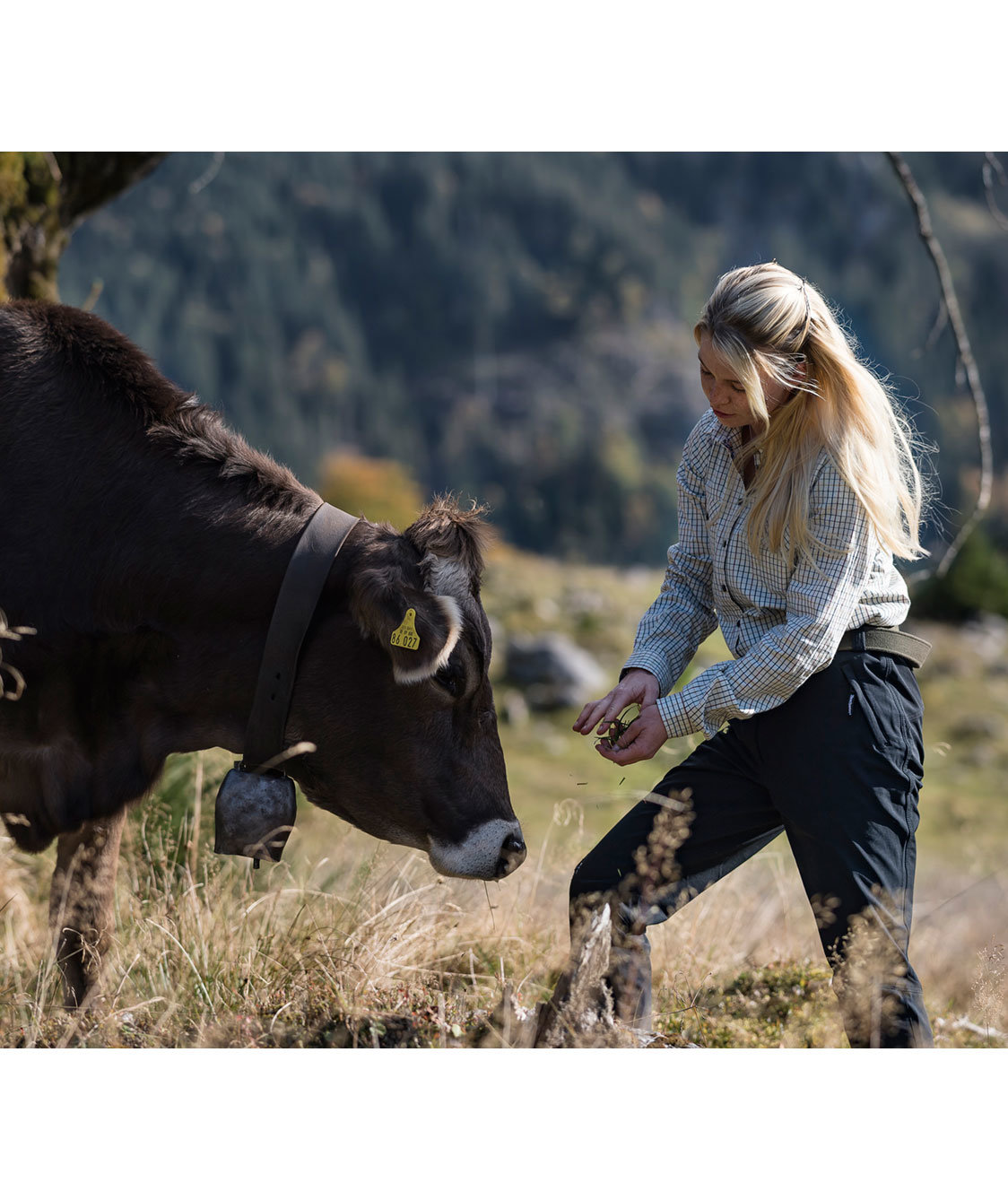 Deerhunter Lady Ann Damenhose mit Stretch, Schwarz, large image number 3