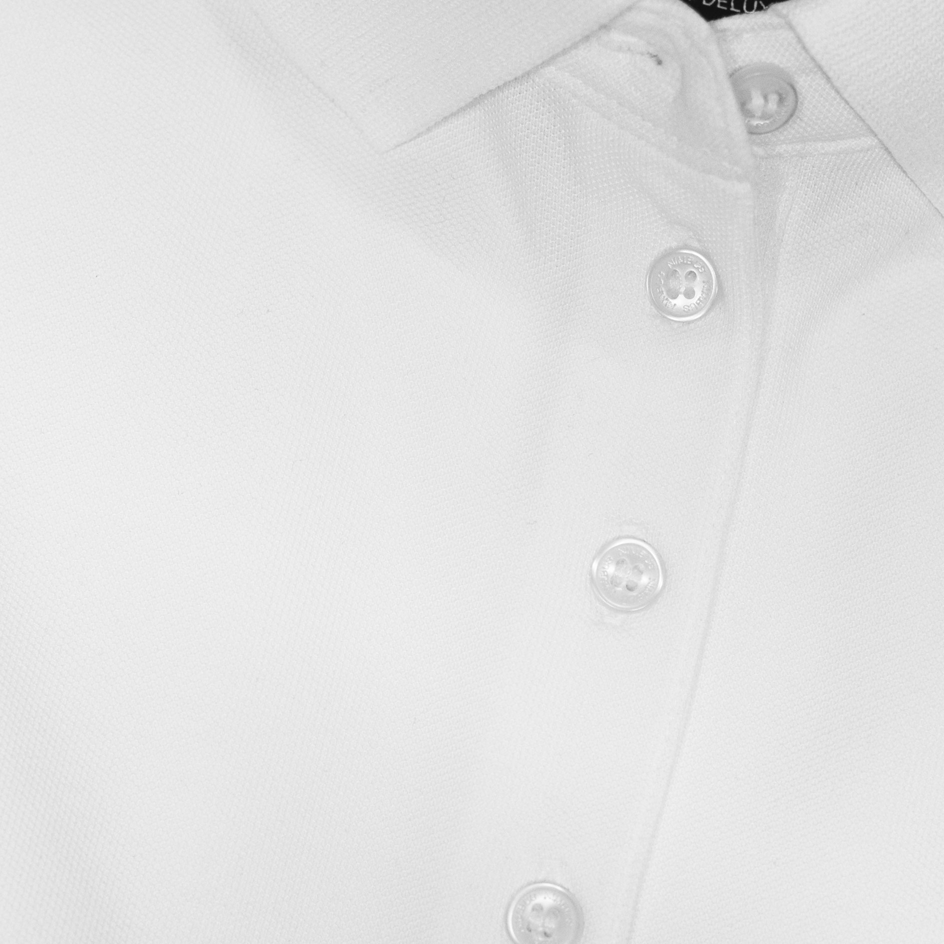 Nimbus Altavista women's polo shirt, White, large image number 3