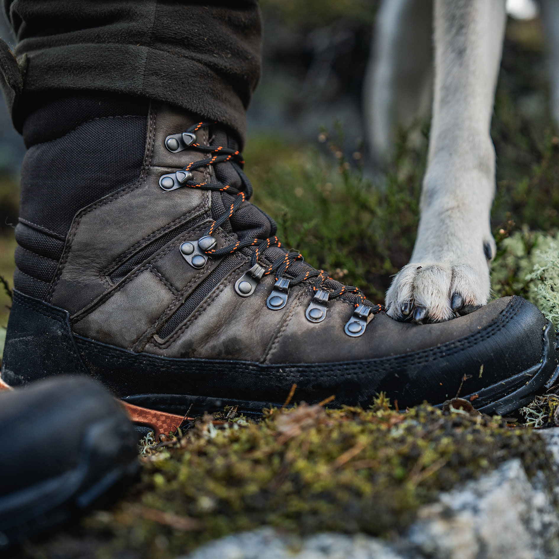 Seeland Enduro Tracker high boots, Dark brown, large image number 4