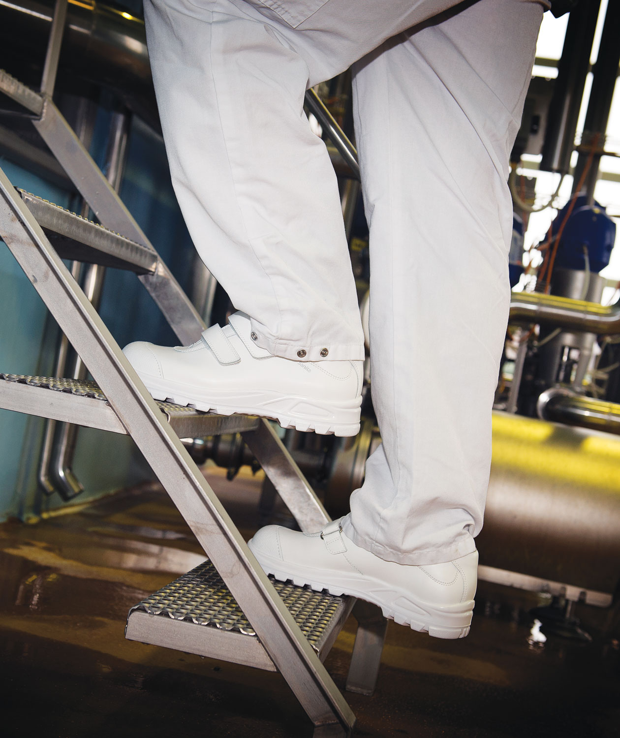 Sanita San Food vernesko S2, Hvit