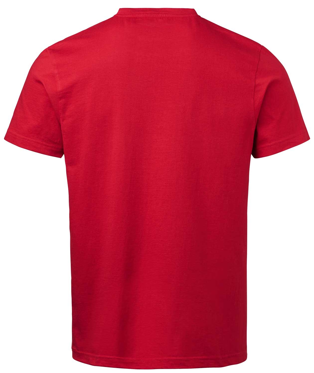 South West Basic T-shirt for kids, Red, large image number 2