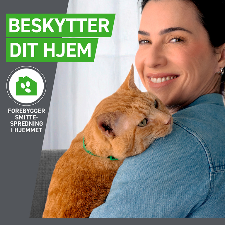 Frontline Combo Vet. til katte