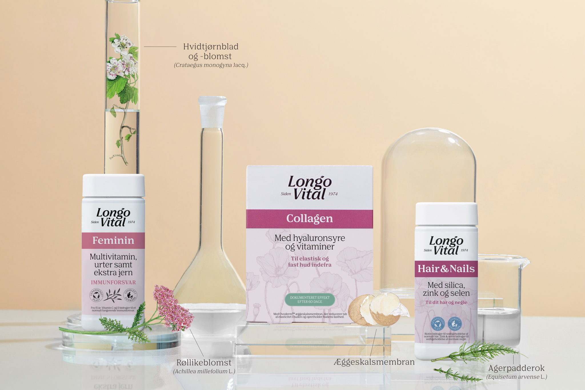 Longo Vital Feminin
