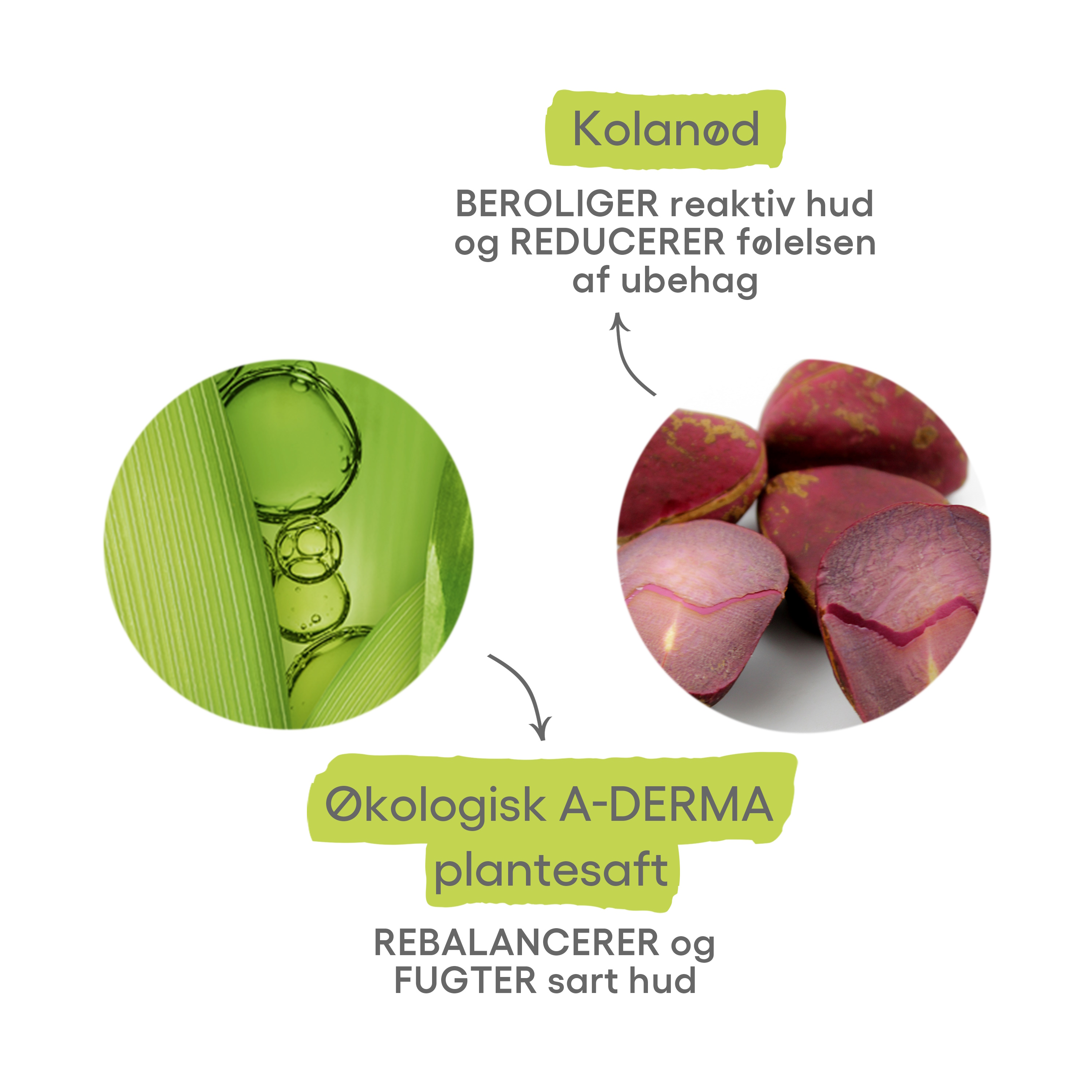 A-derma Biology Calm Care