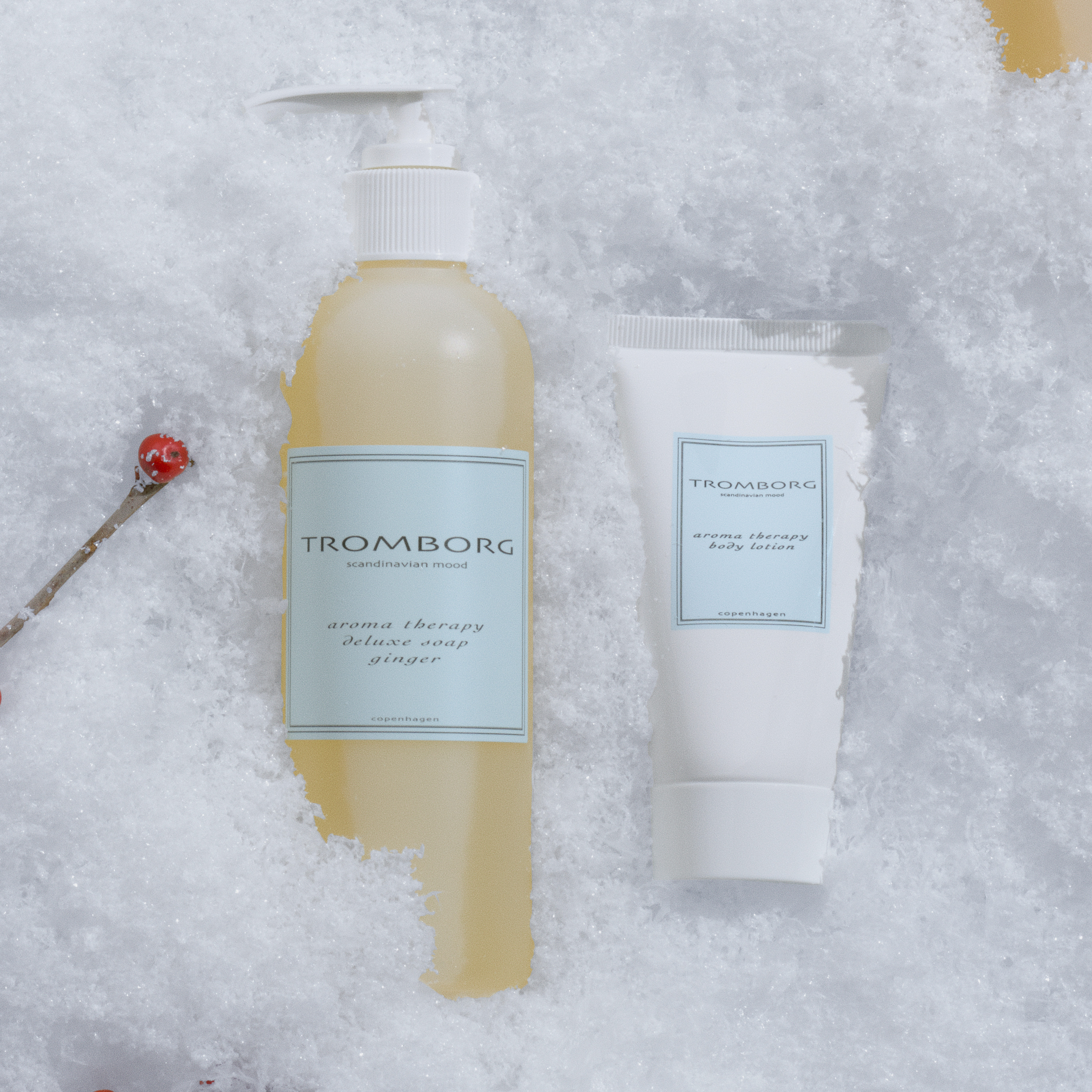 Tromborg Aroma Therapy Deluxe Soap Ginger Gavesæt