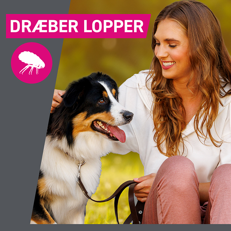 Frontect (til hunde 20-40 kg)