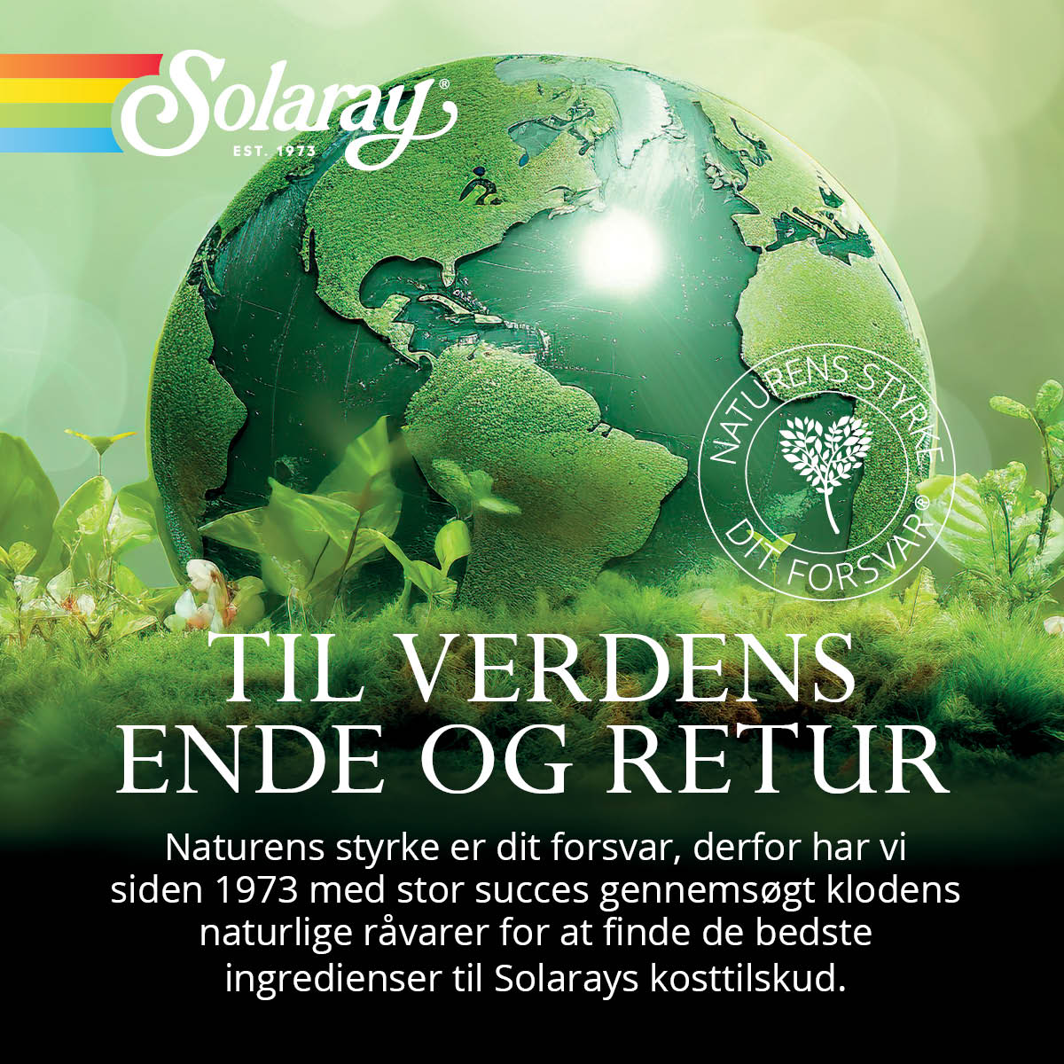 Solaray Curcumin Gold Kapsler
