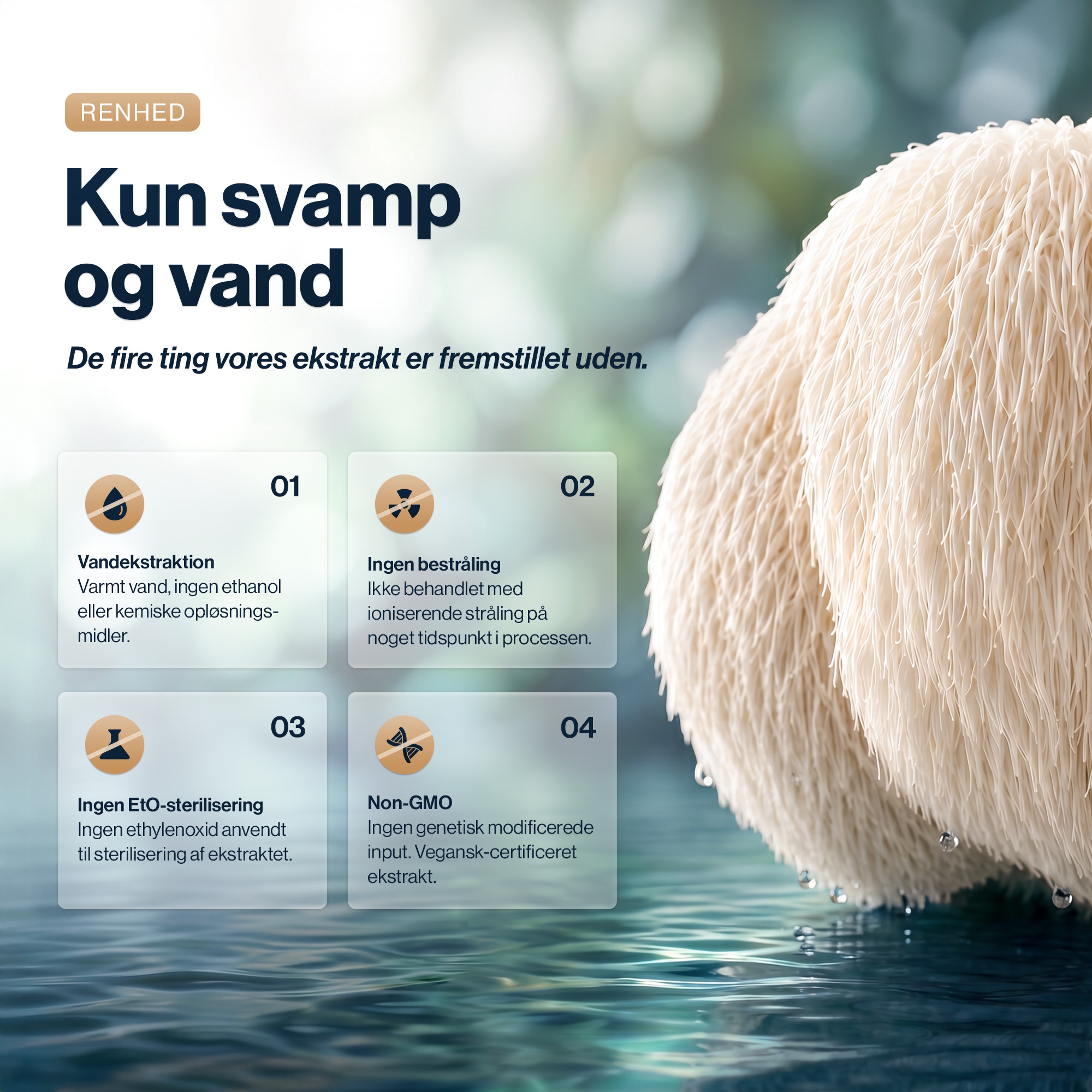 4 HIM & HER Lion's Mane 60 kapsler med lions mane og vitamin b12