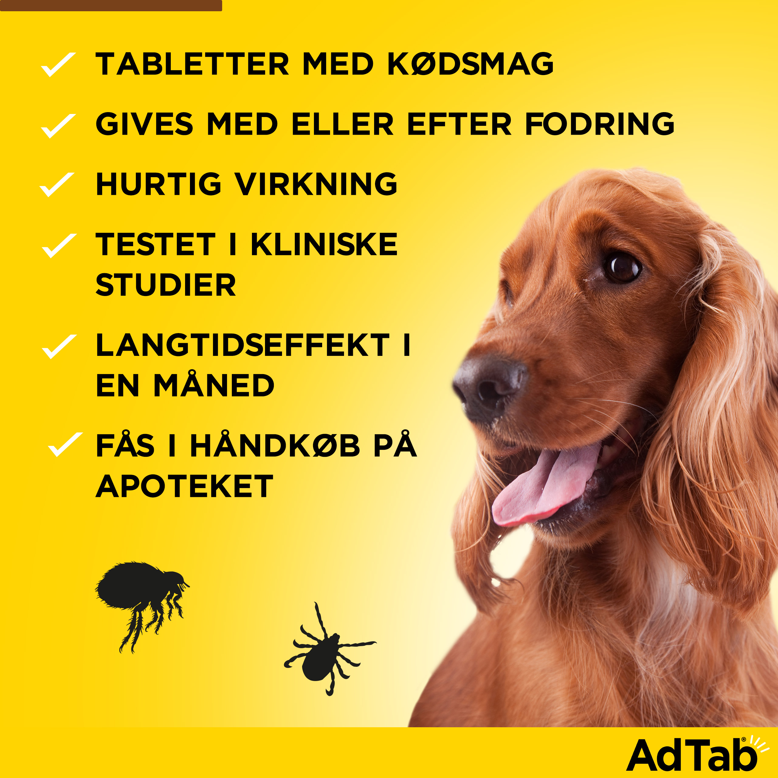 AdTab til hunde 1.3-2.5 kg