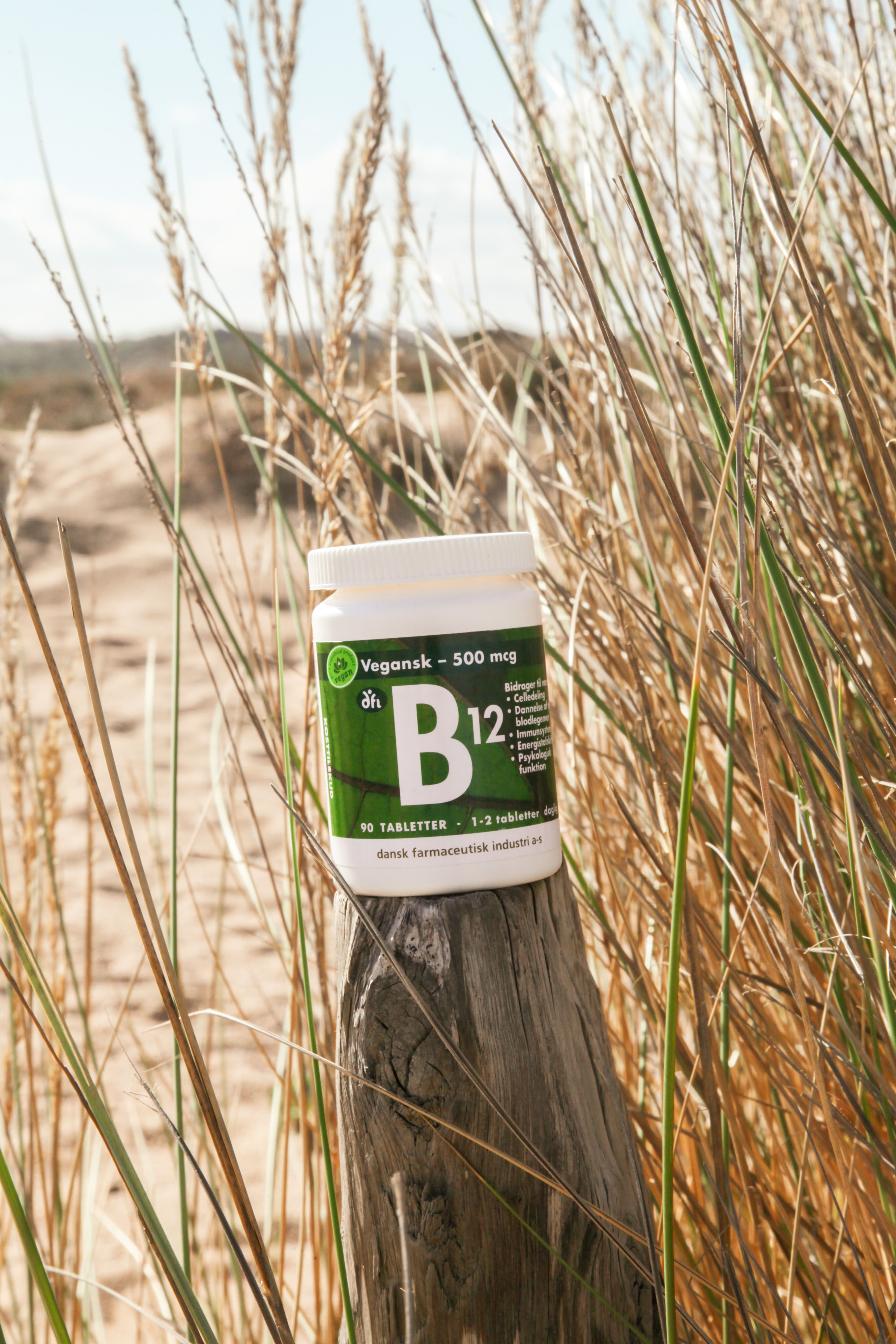 B12-vitamin Tabletter