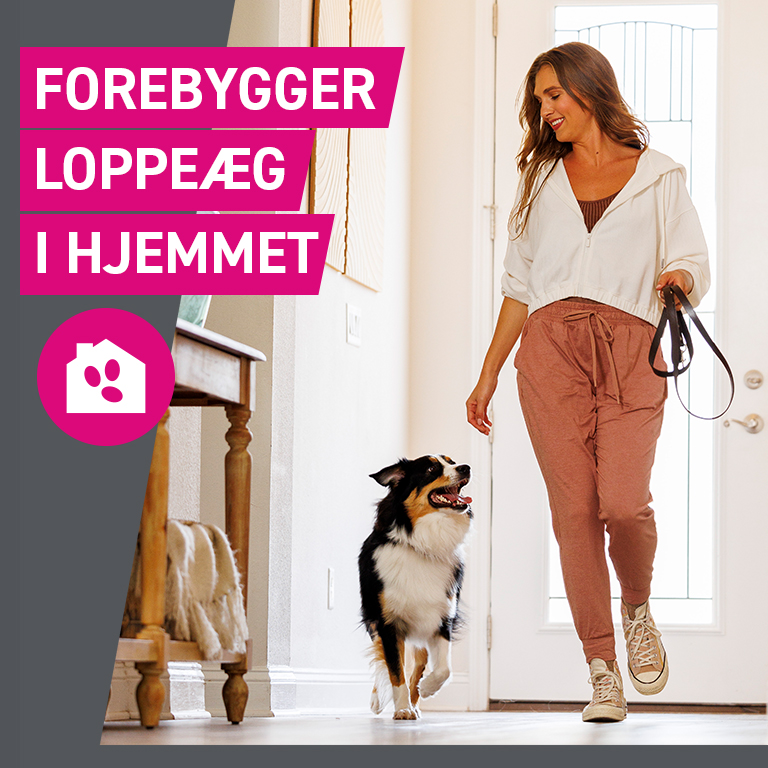 Frontect (til hunde 10-20 kg)