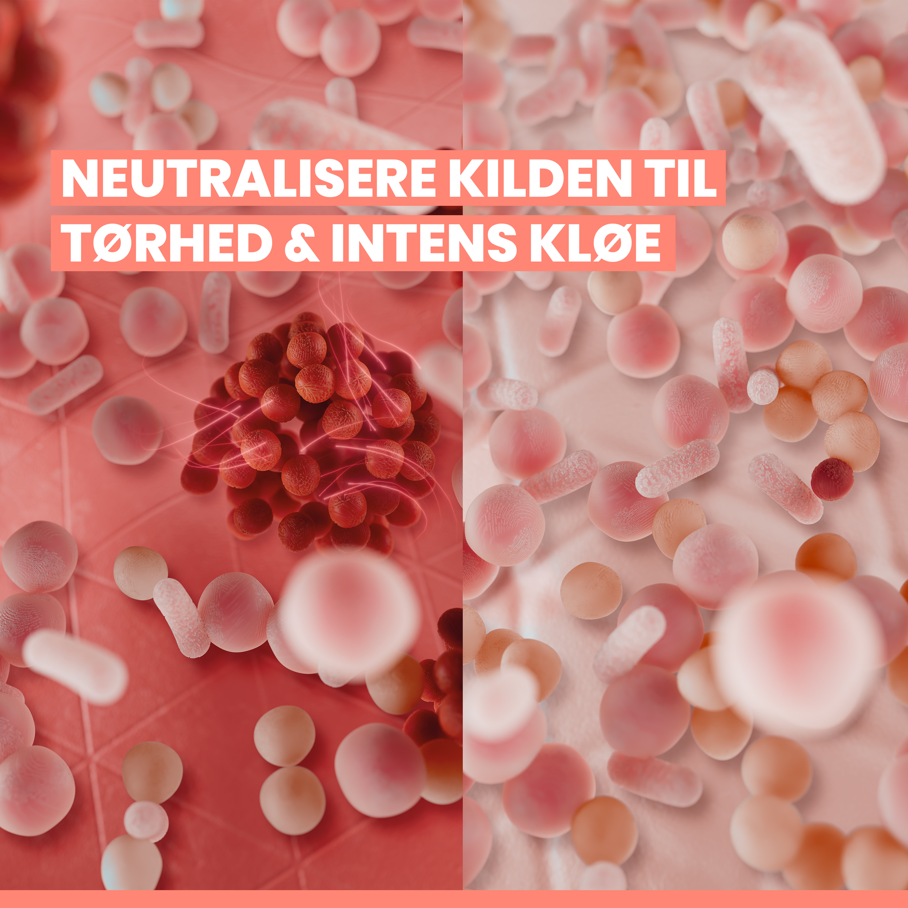 Avène Xeracalm AD Balm