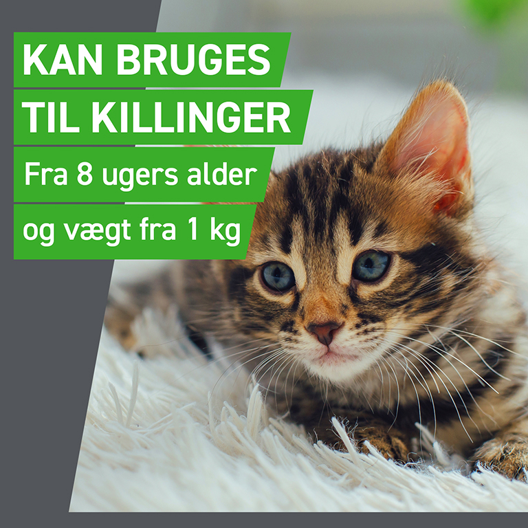 Frontline Combo Vet. til katte