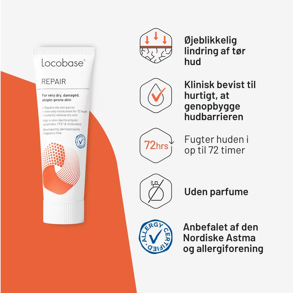 Locobase Repair