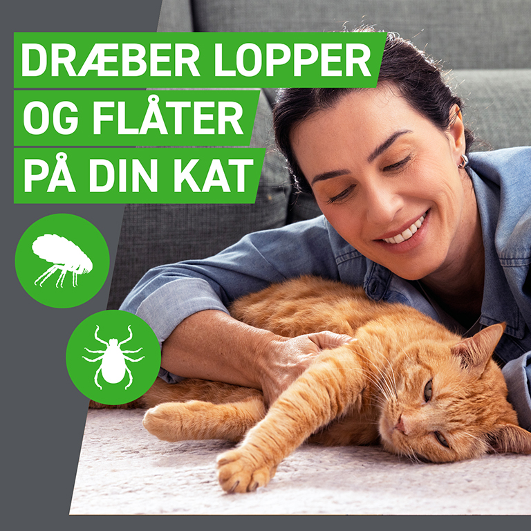 Frontline Combo Vet. til katte