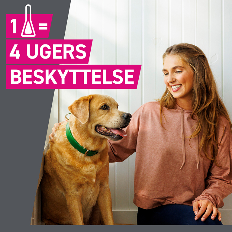 Frontect (til hunde 2-5 kg)