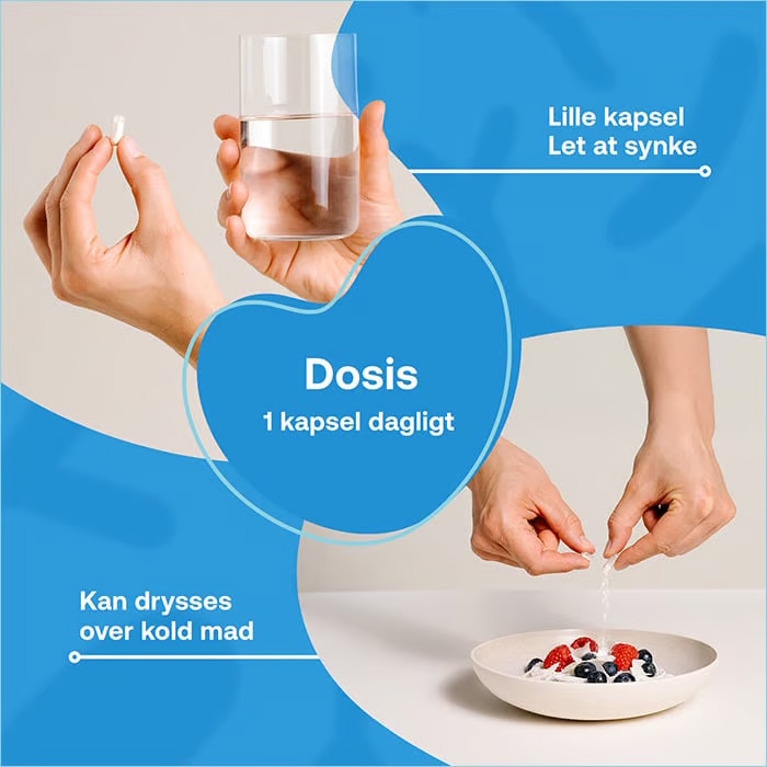 Lactocare Daily 50+ Kapsler