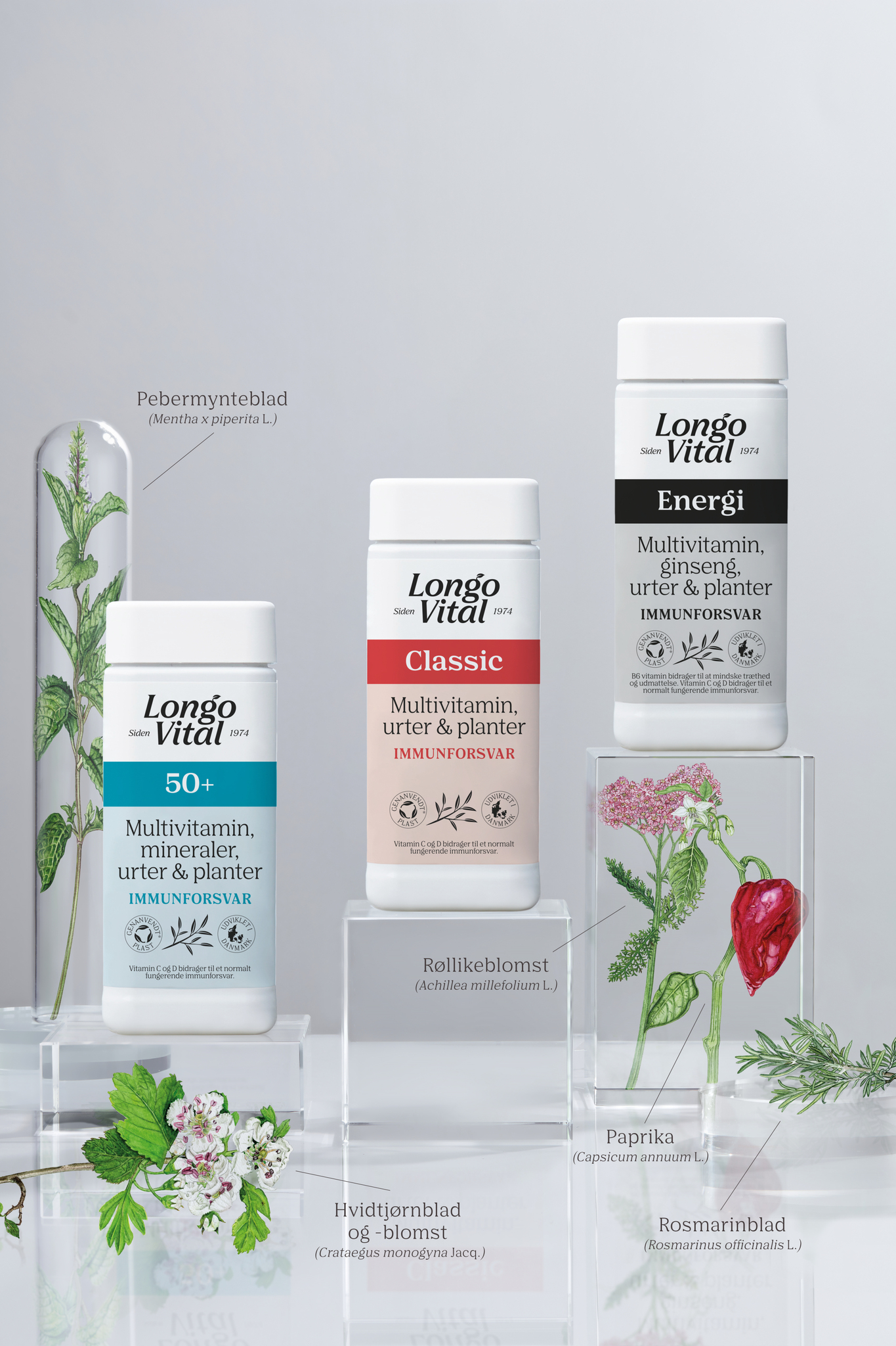 Longo Vital Classic