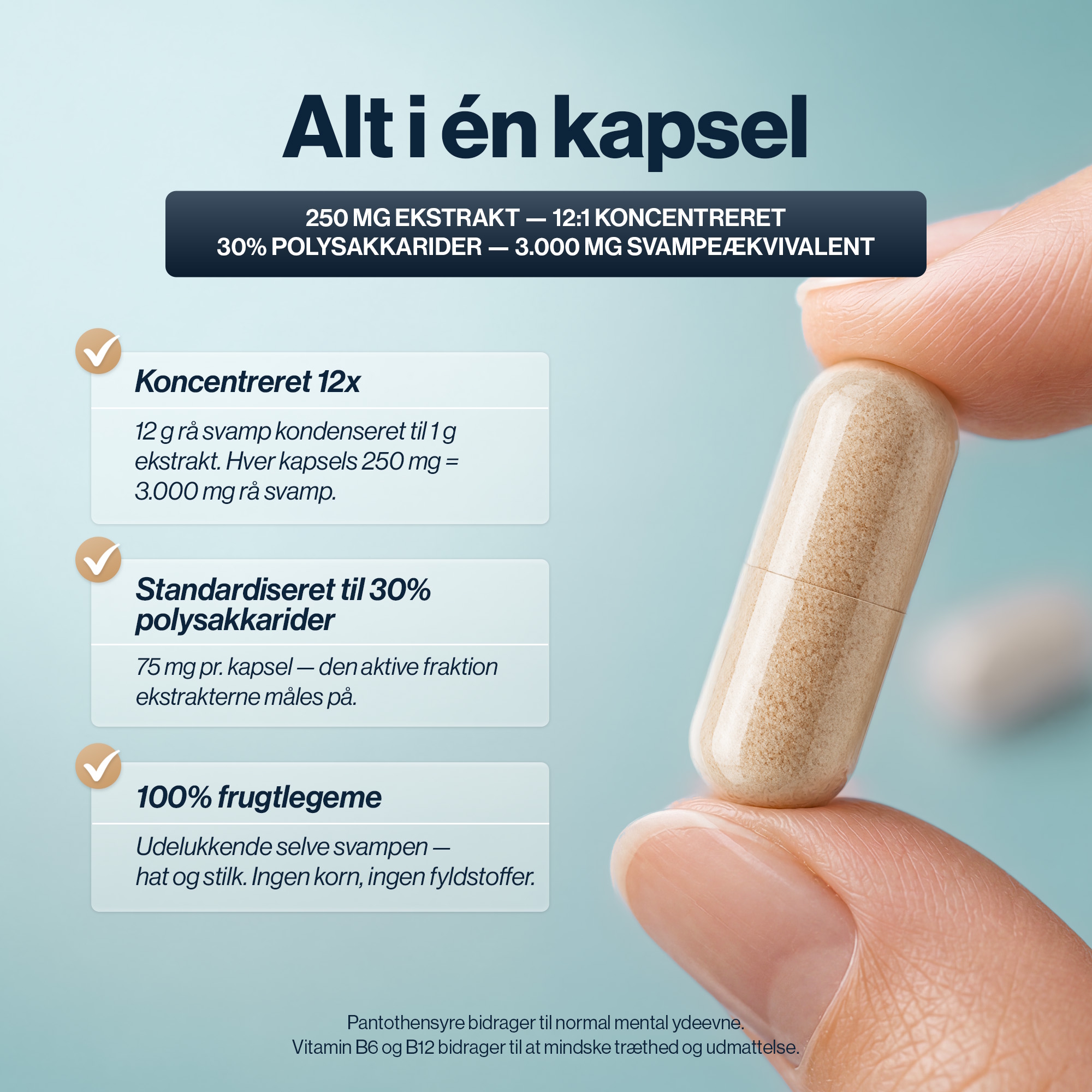 4 HIM & HER Lion's Mane 60 kapsler med lions mane og vitamin b12