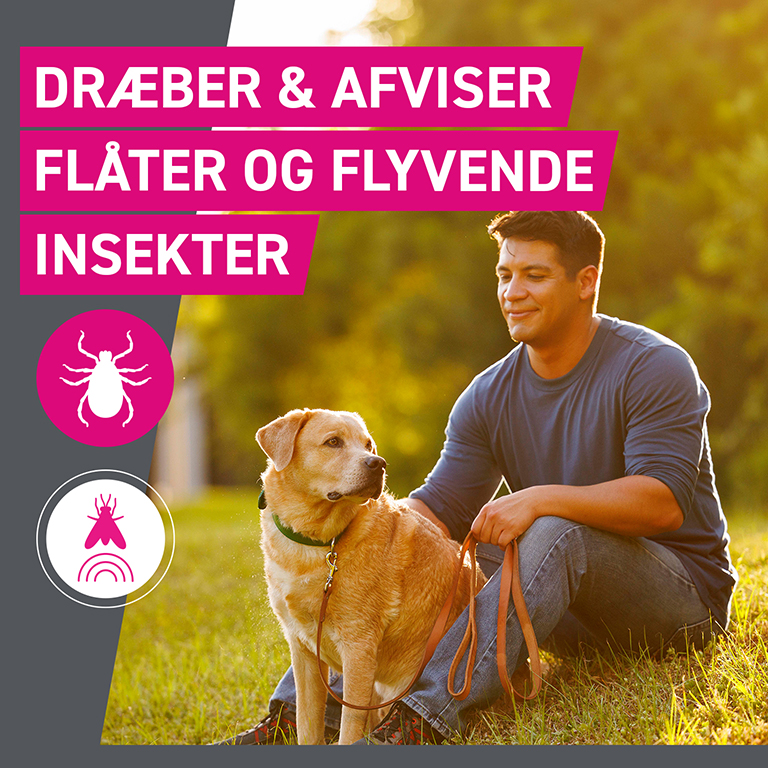 Frontect (til hunde 40-60 kg)