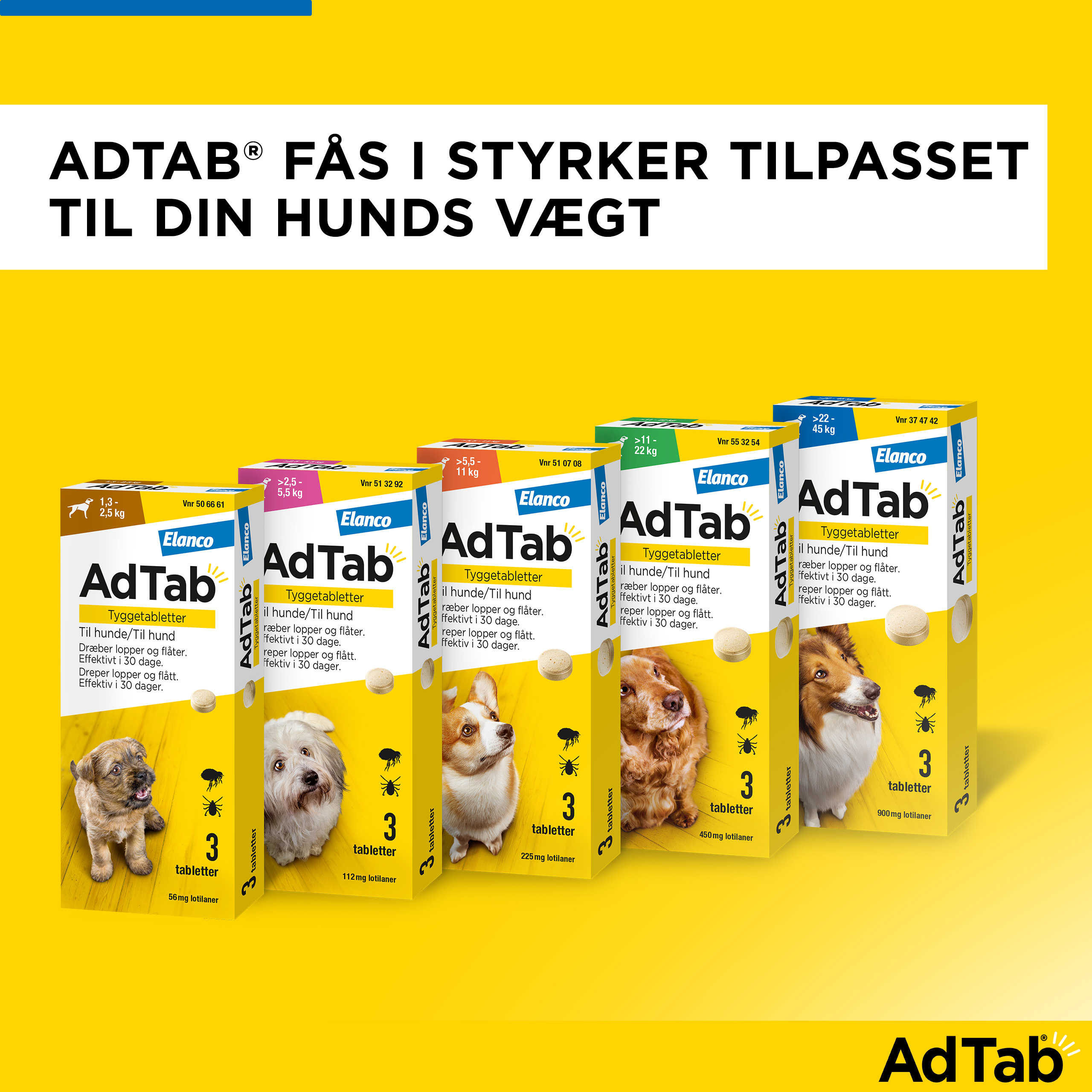 AdTab til hunde >22-45 kg