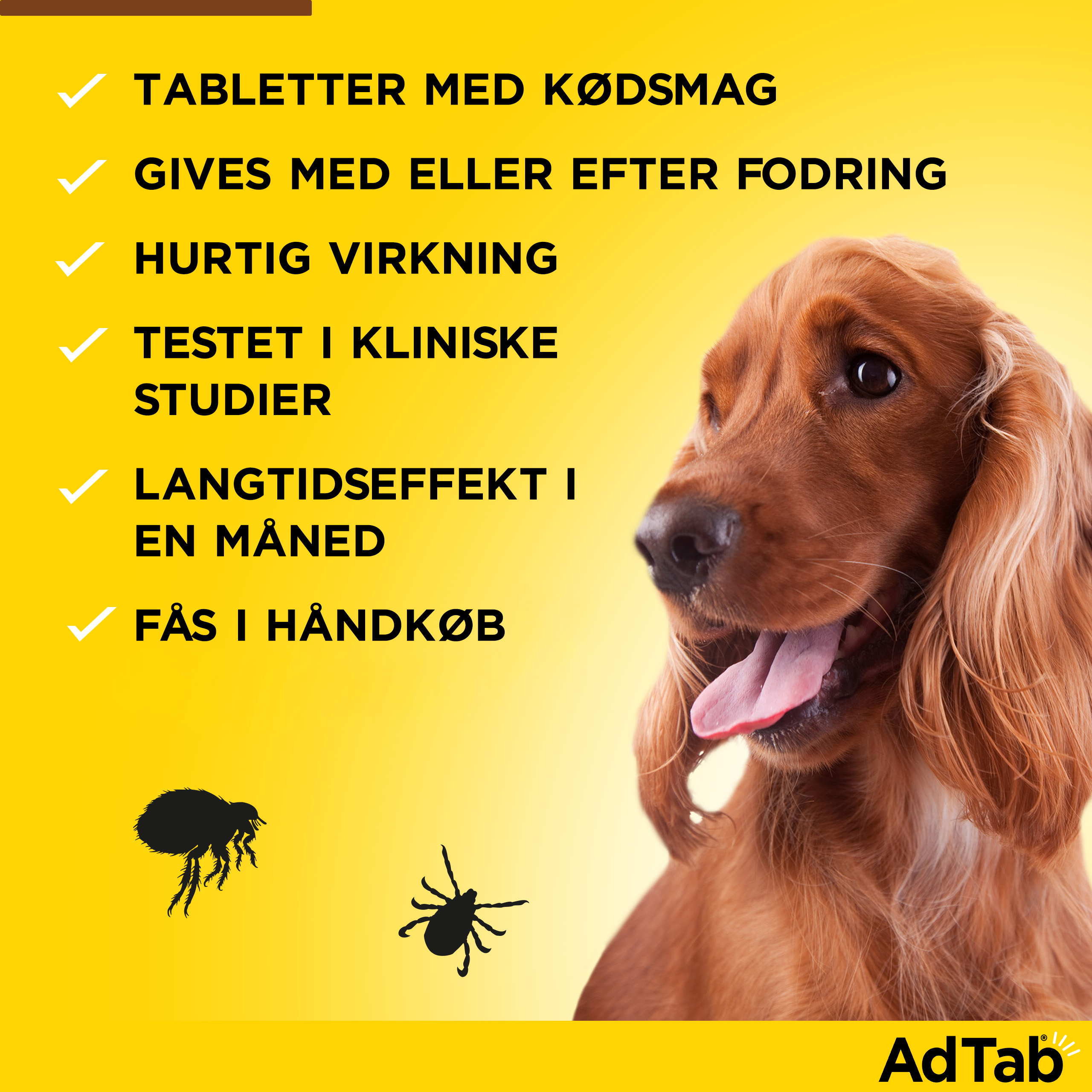 AdTab til hunde >11-22 kg