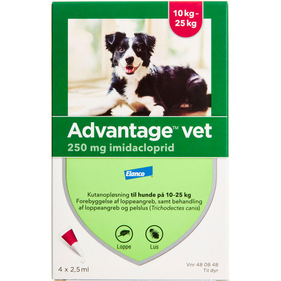 Advantage Vet. til hund