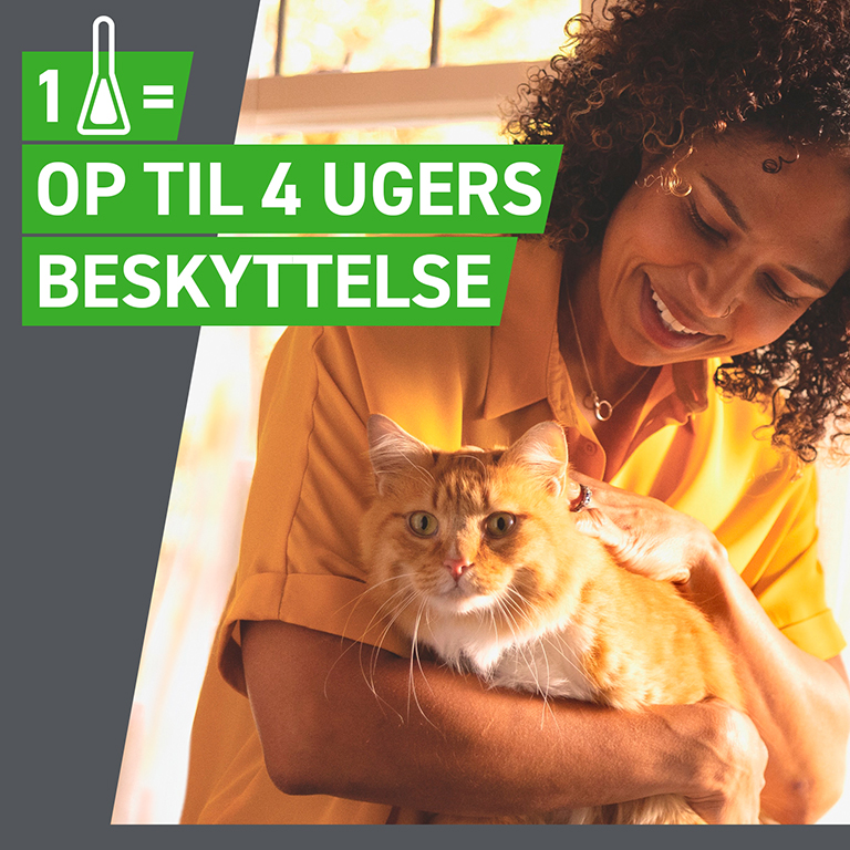 Frontline Combo Vet. til katte