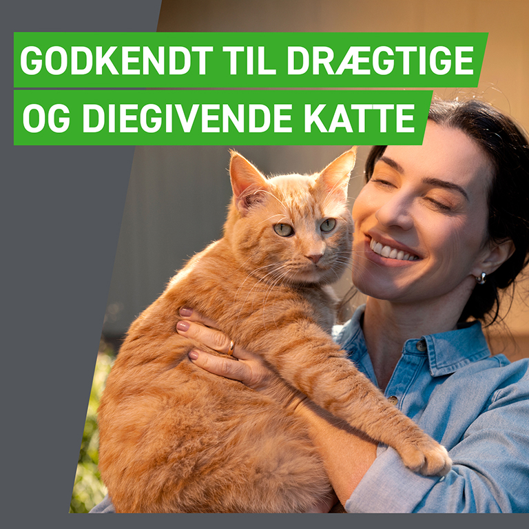 Frontline Combo Vet. til katte