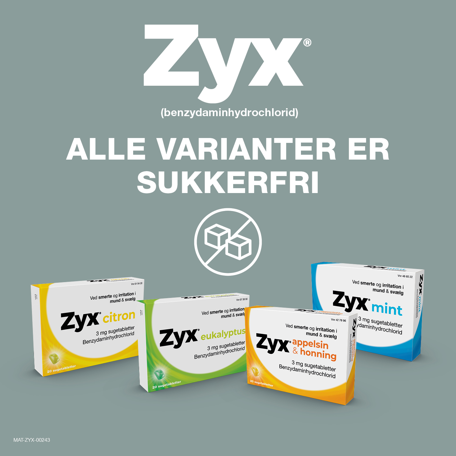 Zyx eukalyptus