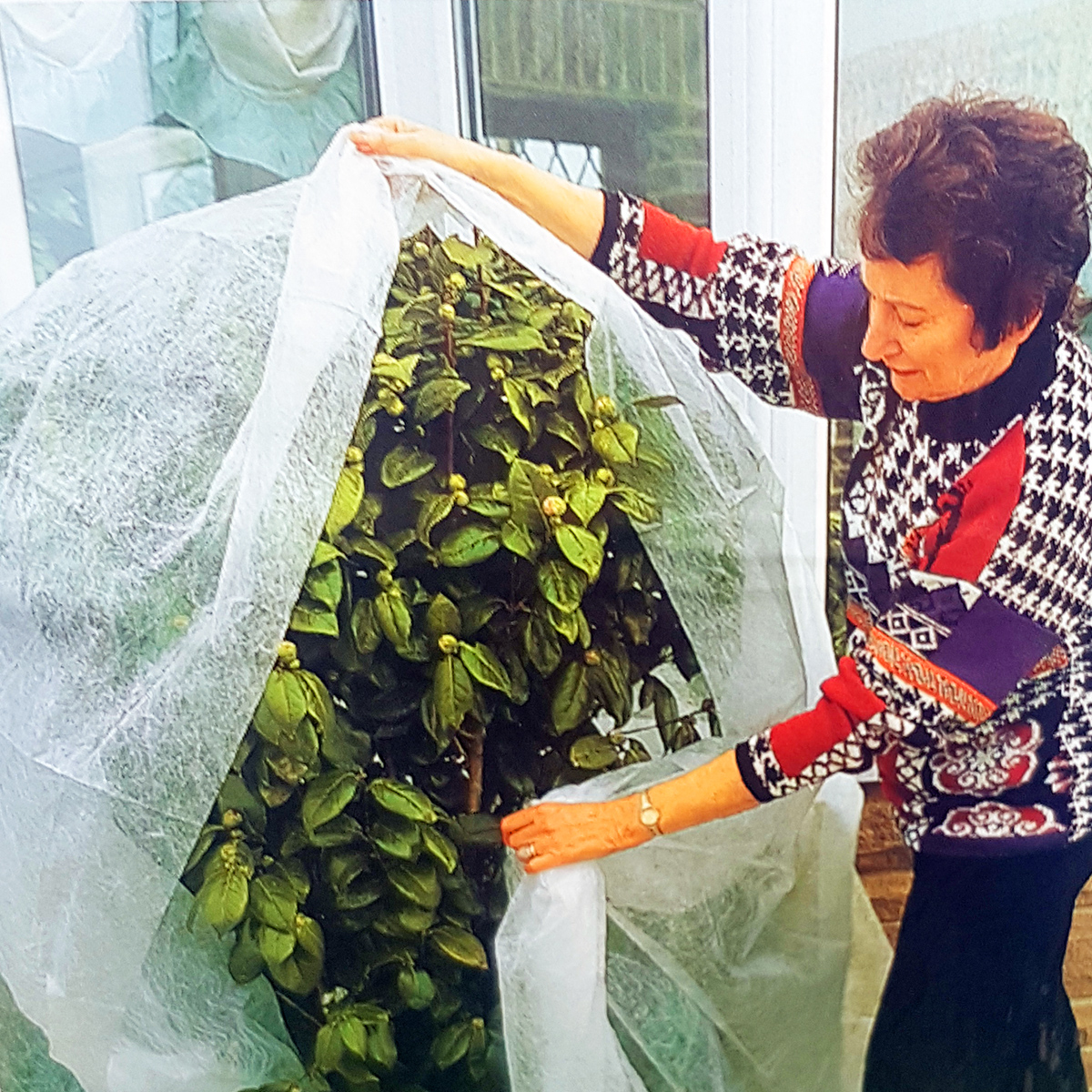 Plantex Skyddsduk för dina växter - skyddar mot frostskador