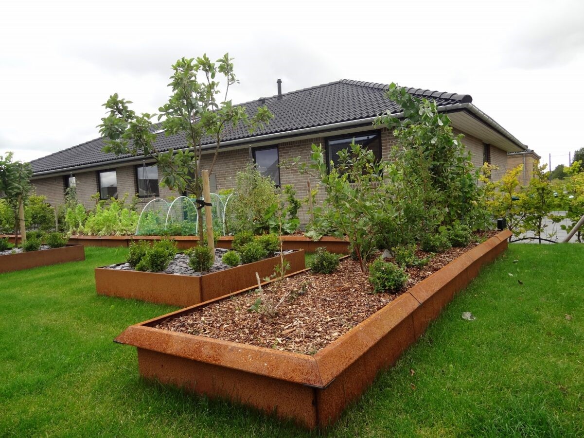 Land Classic Sneglehegn - Aflang - rust