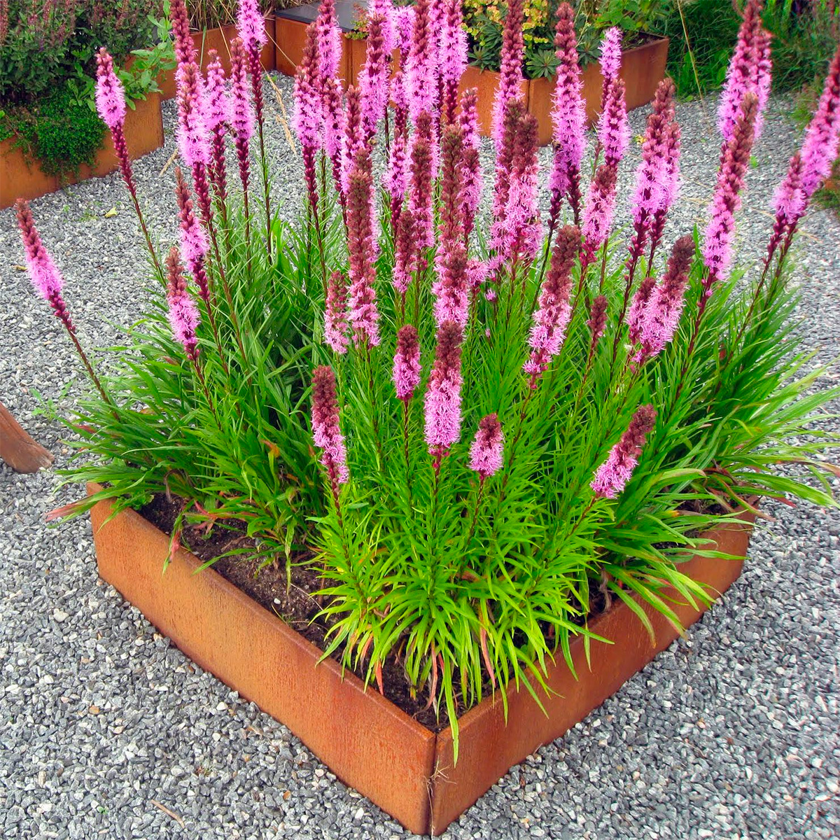 Højbede Land Classic, jern/rust (Bredde: 120 cm)