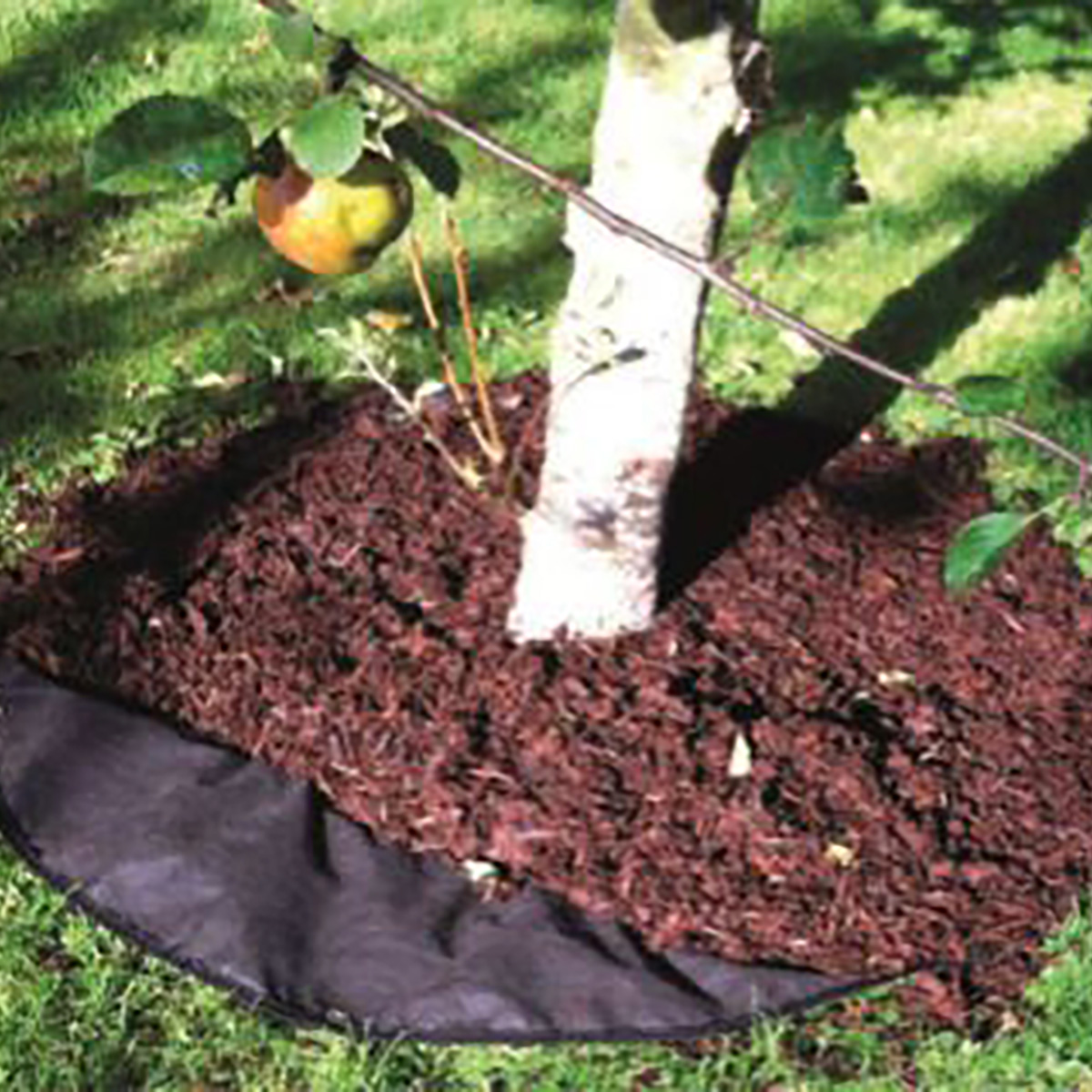 Ukrudtsdug til solitæretræer til under bundække