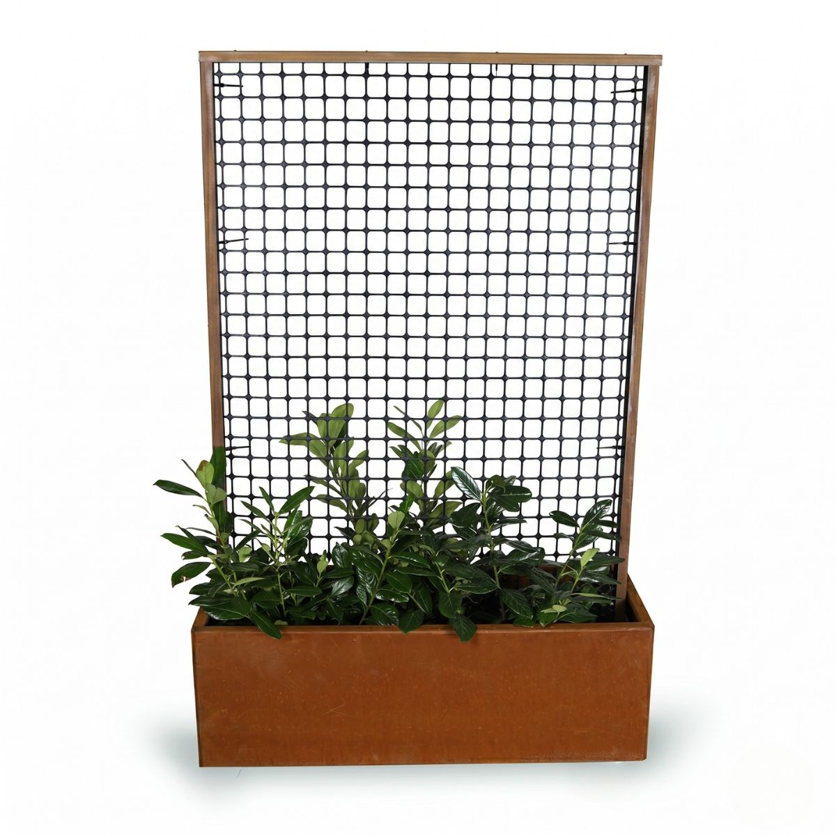 Espalier med plantekasse - 180 cm