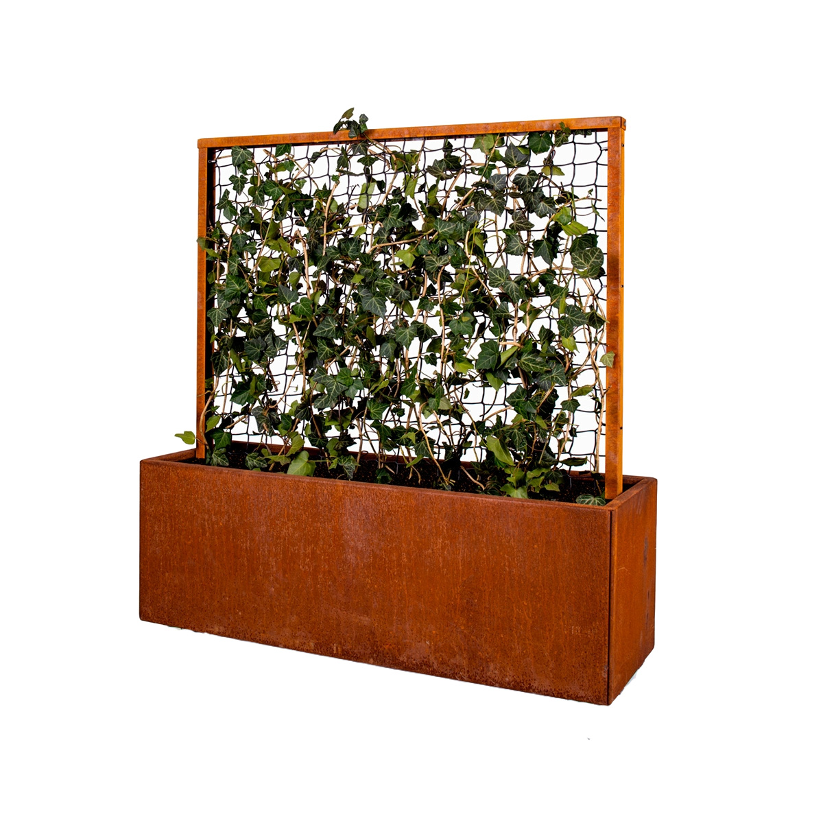 Espalier og plantekasse, corten stål