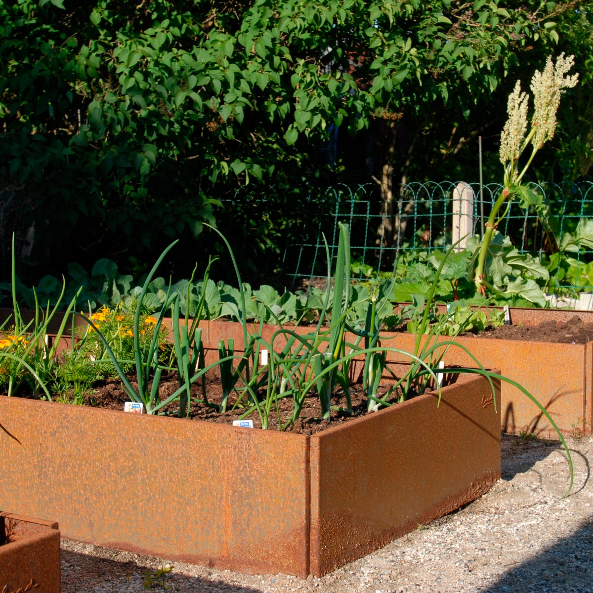 Land Classic højbed i rust