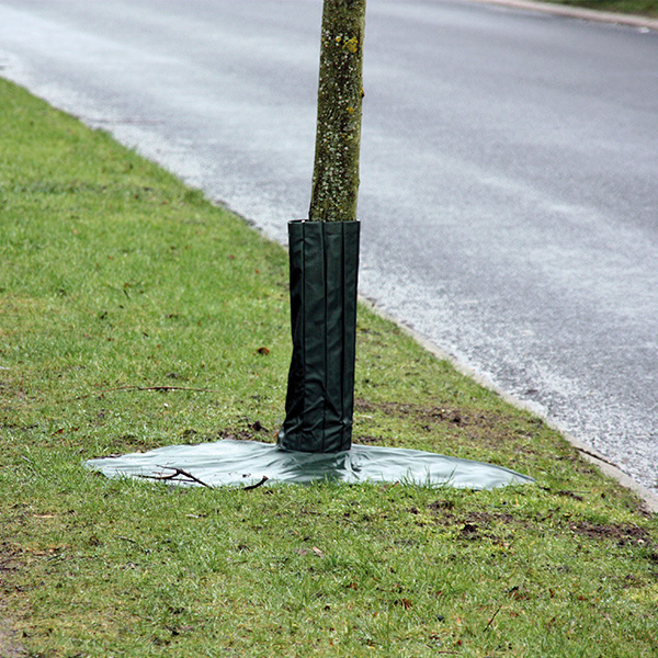 Rodbeskytter af solitærer træer - saltværn