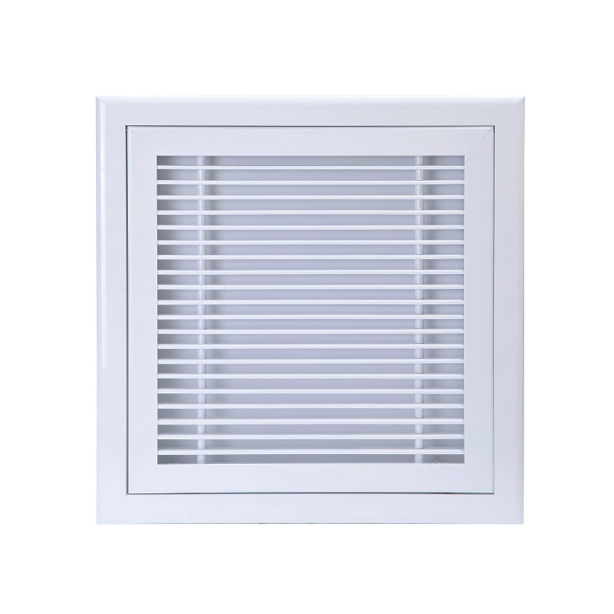 BADLG Inspektionslem