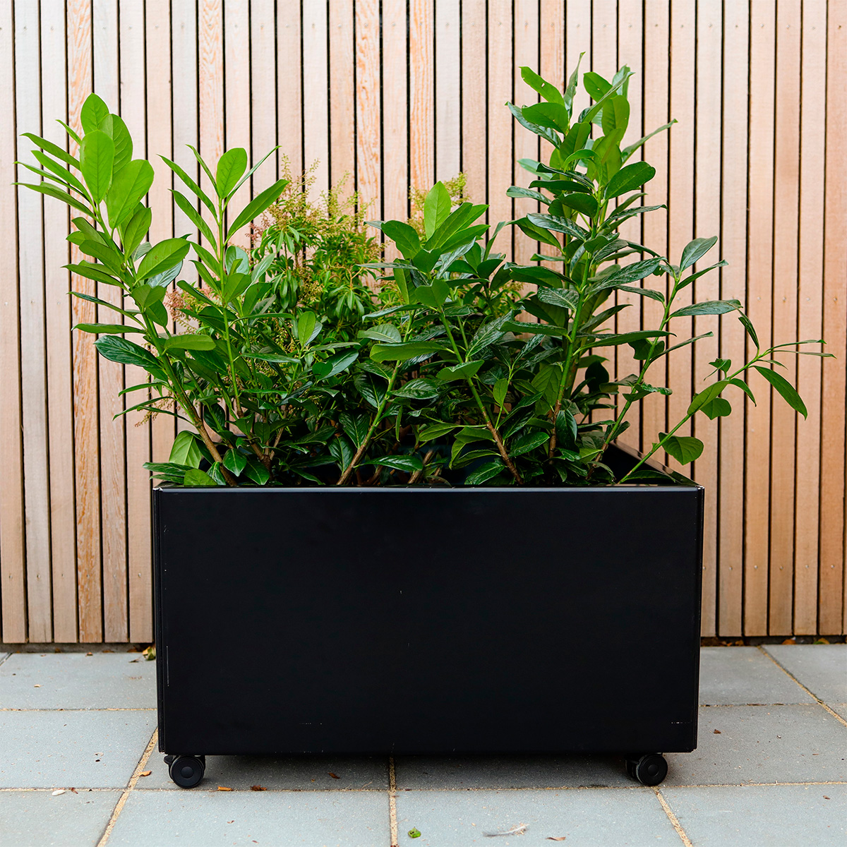 Blomlådor - svart aluminum