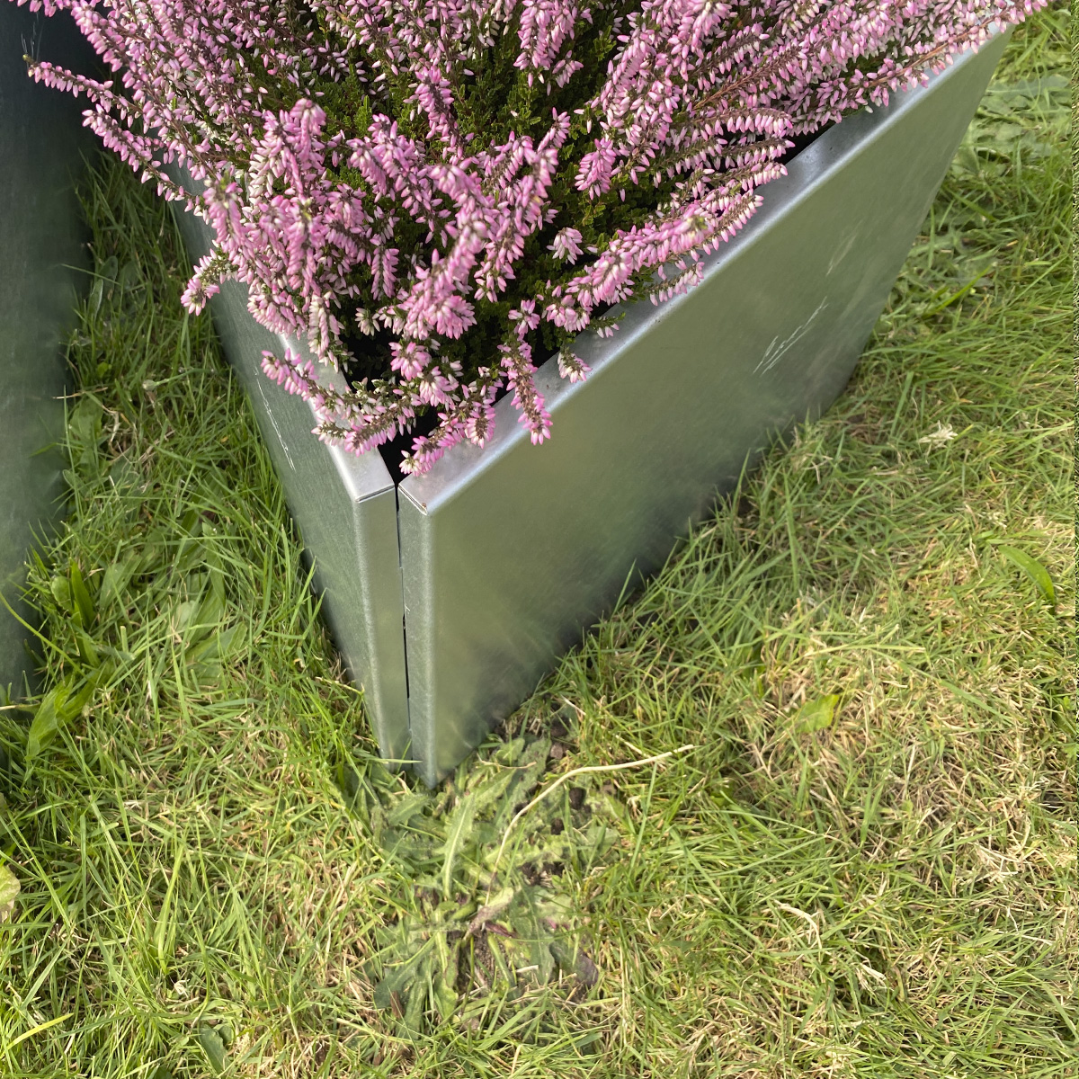 Odlingslåda - Margueritte samla set