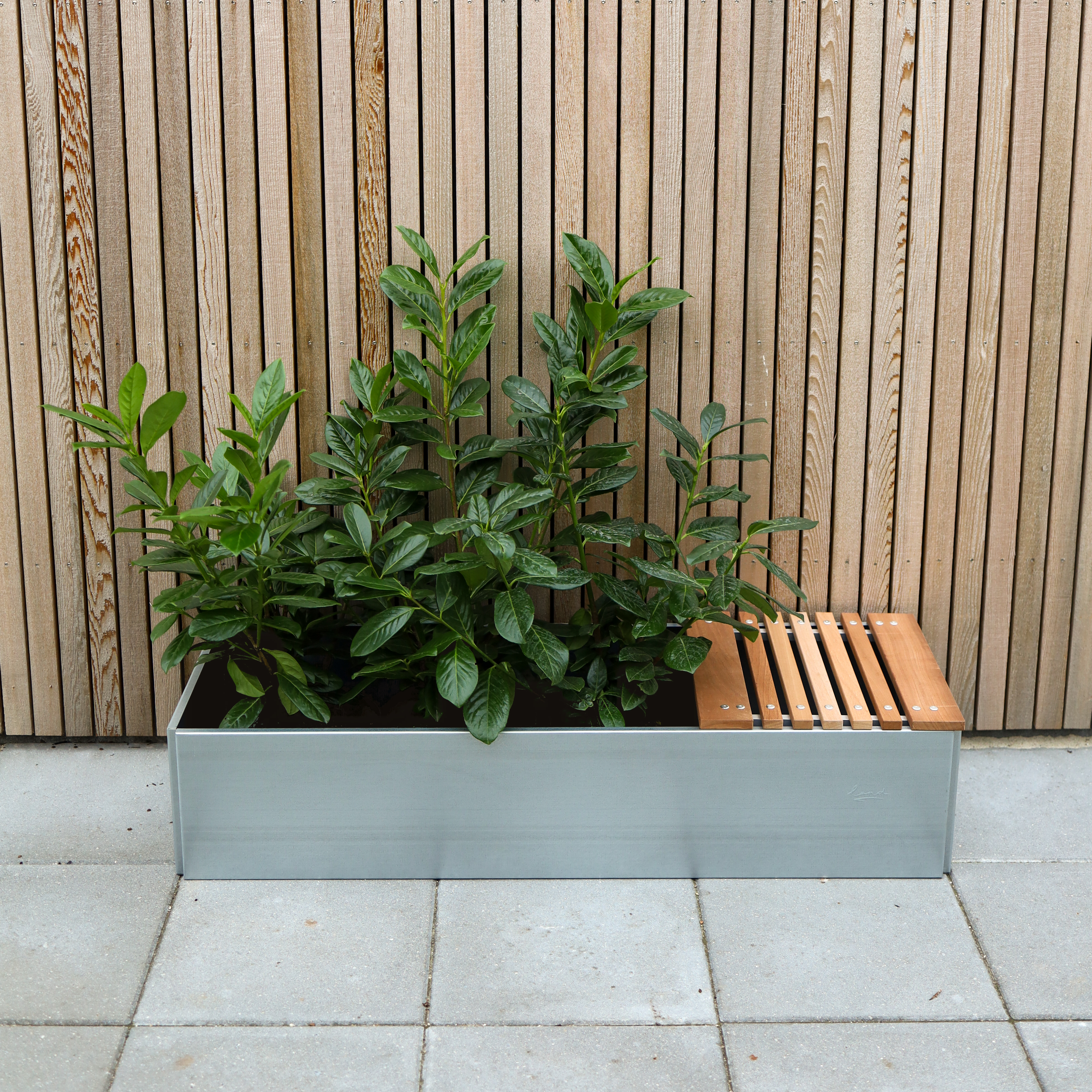 Bænksæde med mahognilister