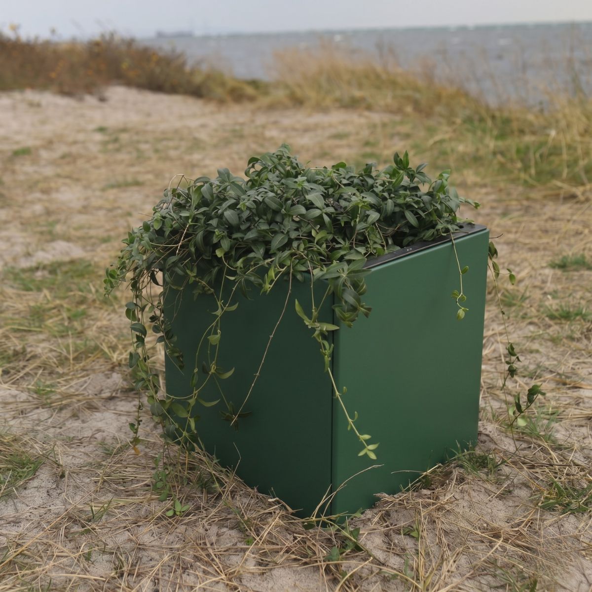 Grønne højbed 40x40 