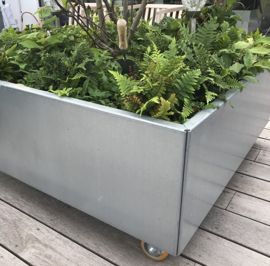 Blomlådor Land Modern