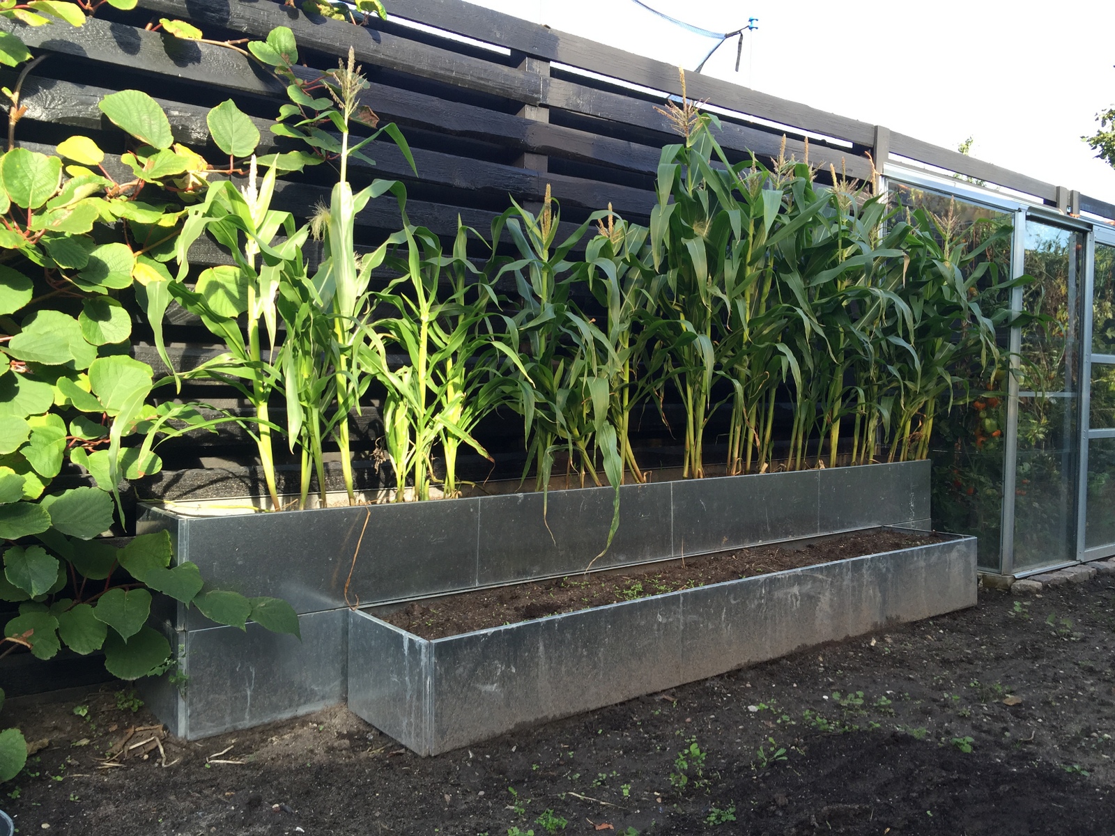 Land Classic – Aflange højbede, galvaniseret 25 cm