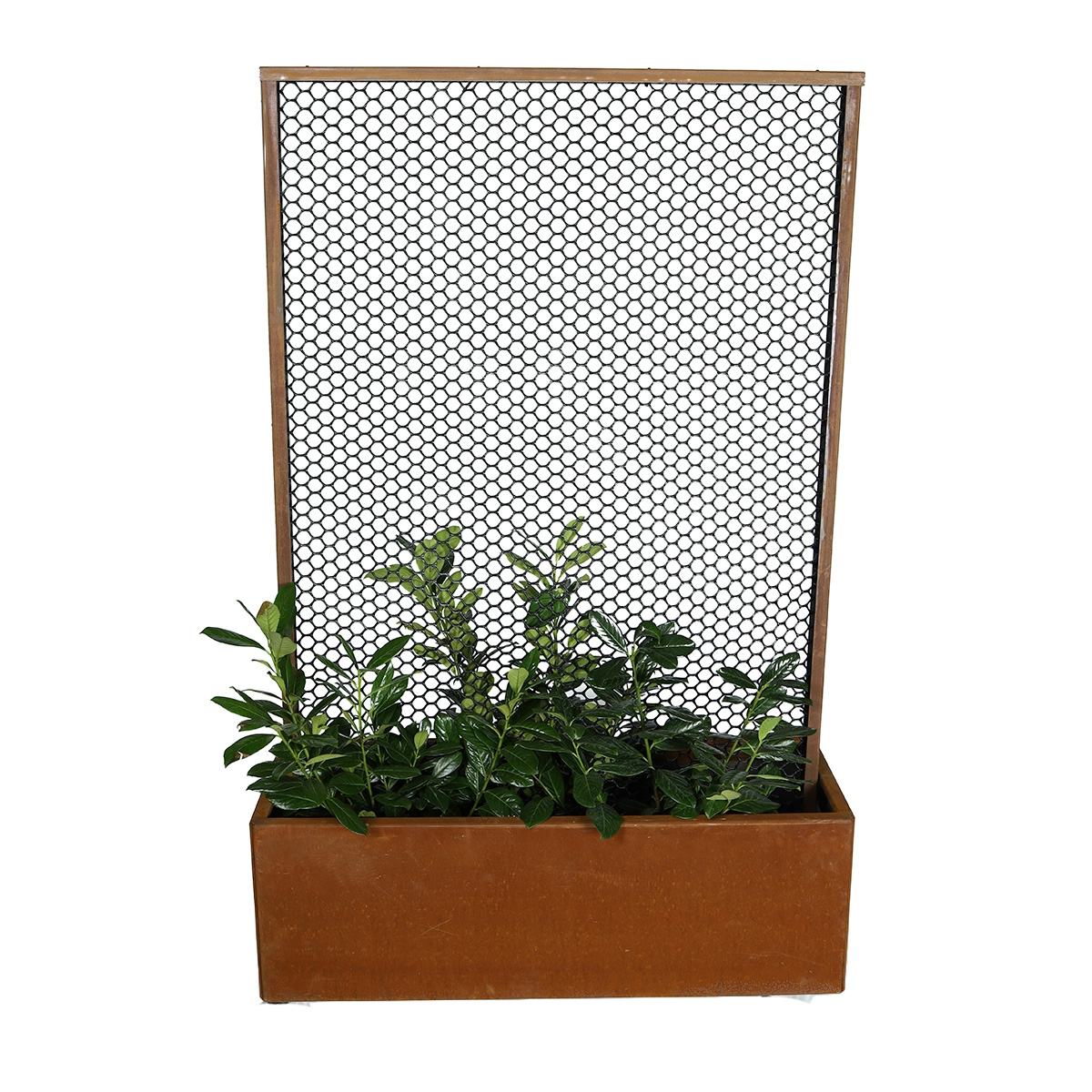 Spaljé och blomlåda - höjd 180 cm